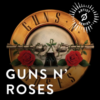 Artist Series: Guns n’ Roses Titelbild