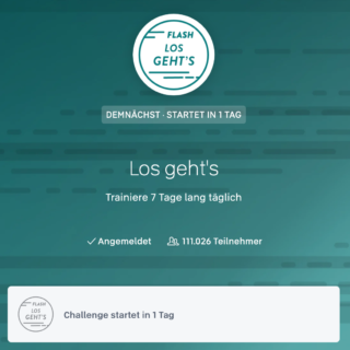 Screenshot Flash Challenge Los Gehts